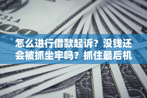 济南怎么进行借款起诉？没钱还会被抓坐牢吗？抓住最后机会！