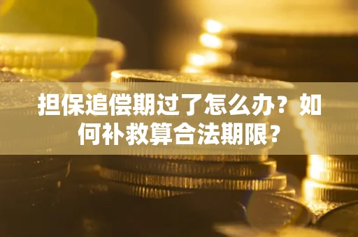 济南担保追偿期过了怎么办？如何补救算合法期限？