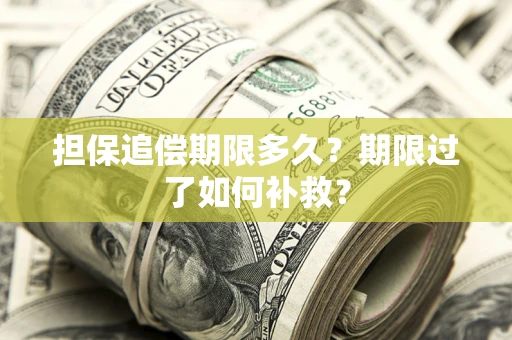 济南担保追偿期限多久？期限过了如何补救？