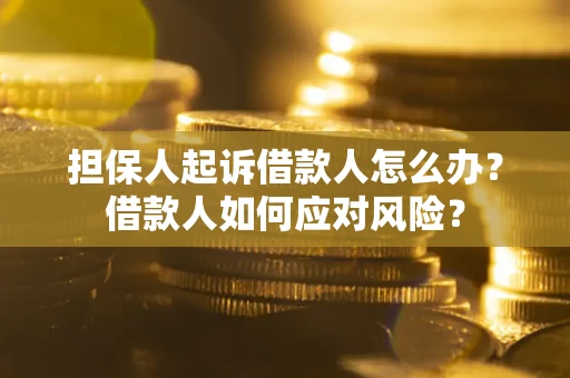 济南担保人起诉借款人怎么办？借款人如何应对风险？