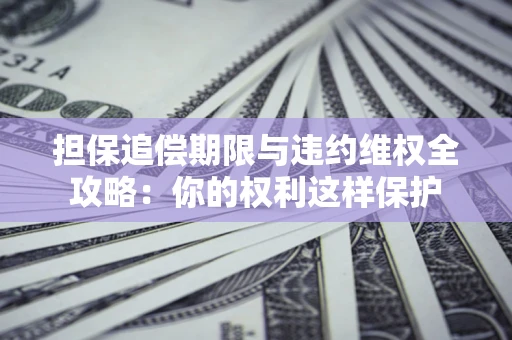 济南担保追偿期限与违约维权全攻略：你的权利这样保护